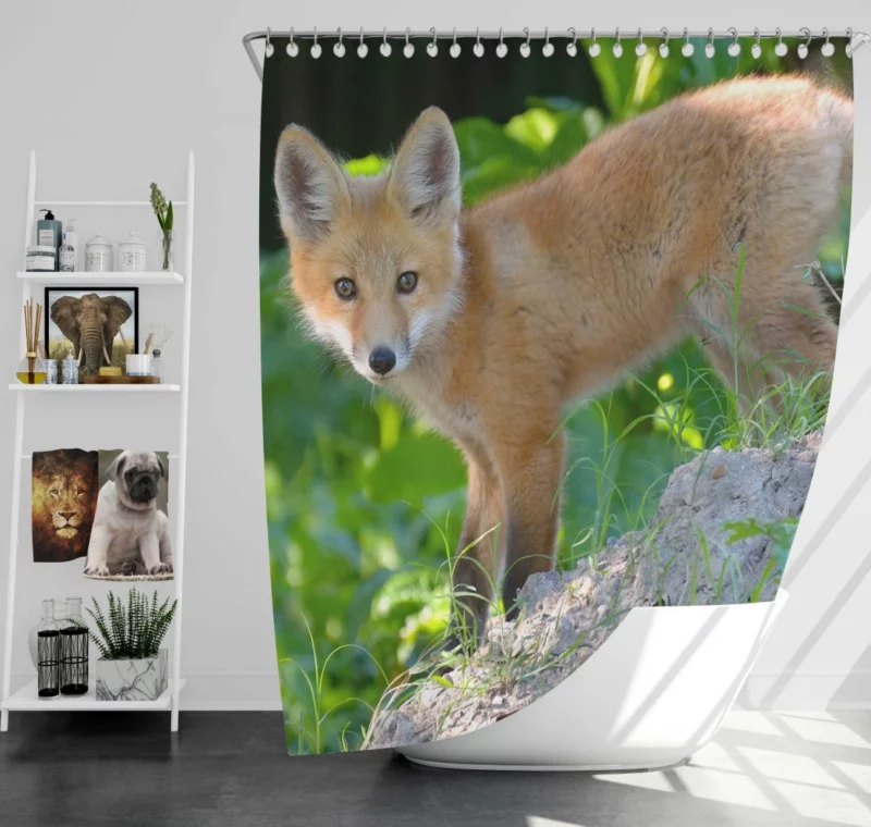 Fox Natural Elegance Furry Wonder Shower Curtain