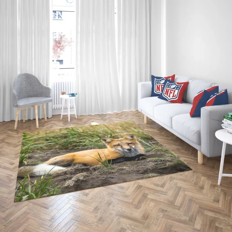 Fox Penetrating Stare Nature Intrigue Rug 2