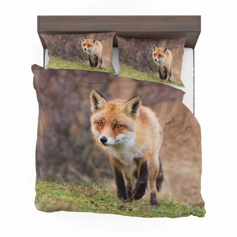 Fox Playful Charm Nature Whimsy Bedding Set 1