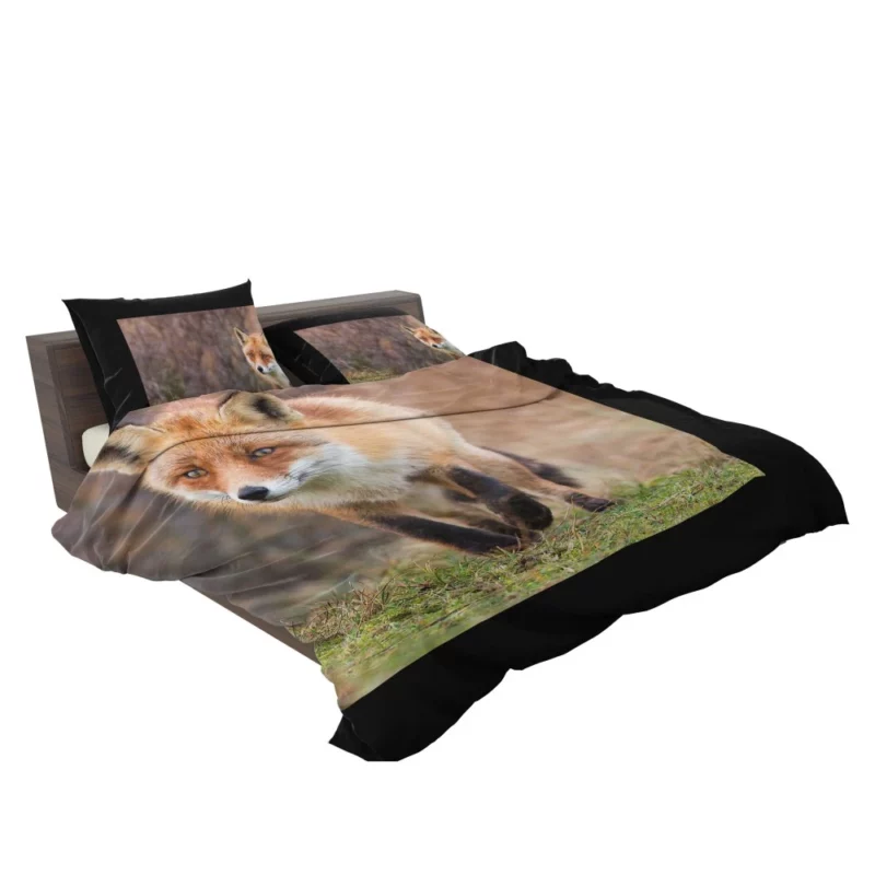 Fox Playful Charm Nature Whimsy Bedding Set 2