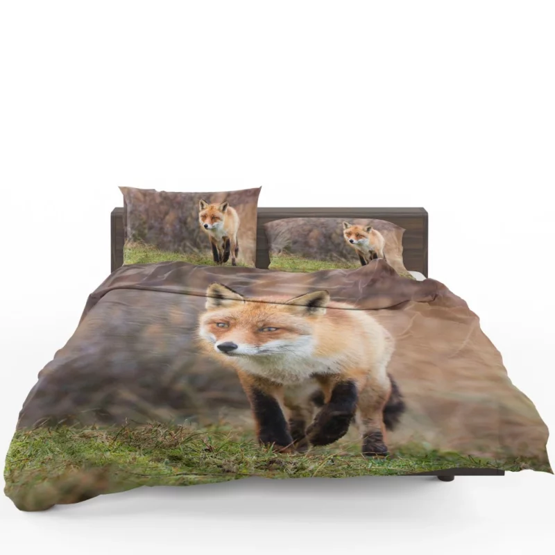 Fox Playful Charm Nature Whimsy Bedding Set