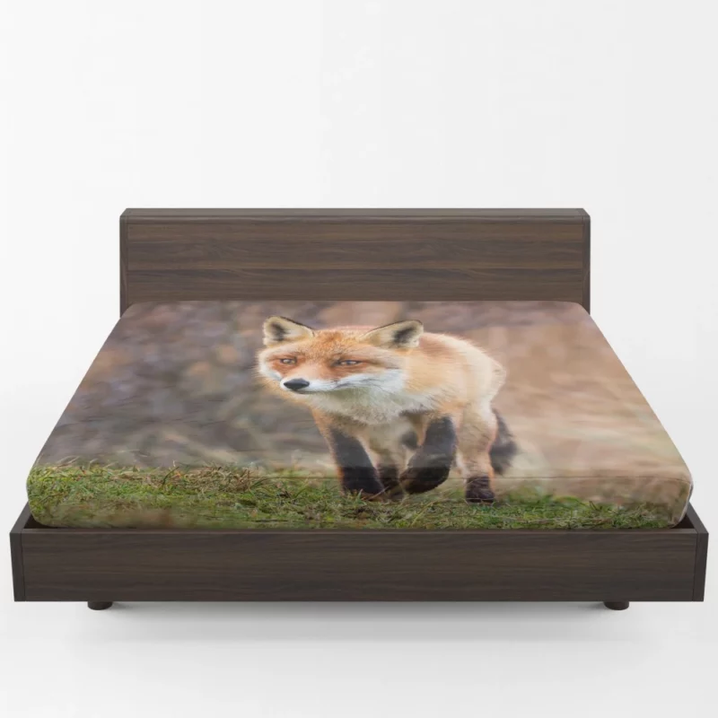 Fox Playful Charm Nature Whimsy Fitted Sheet