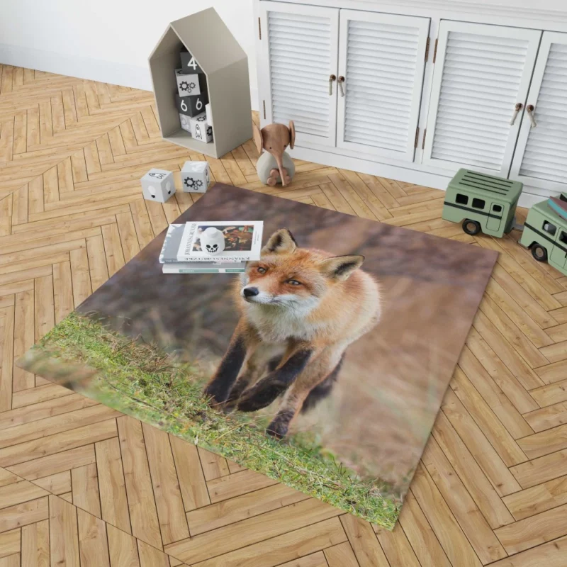 Fox Playful Charm Nature Whimsy Rug 1