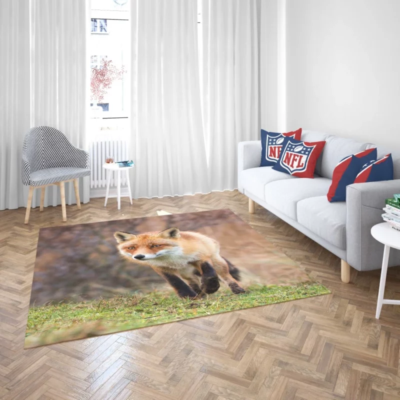 Fox Playful Charm Nature Whimsy Rug 2