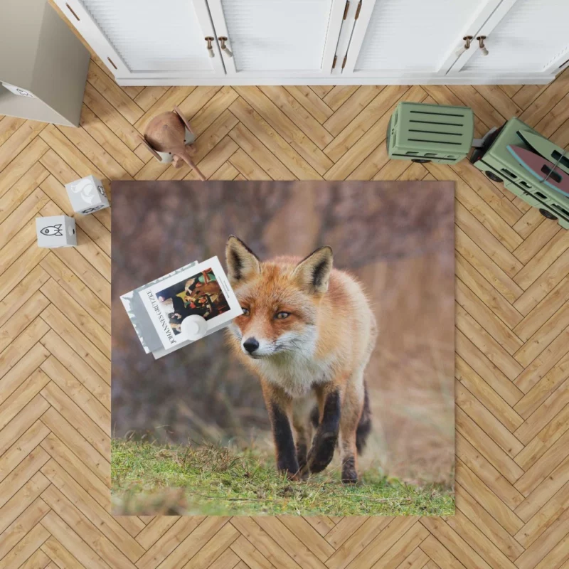 Fox Playful Charm Nature Whimsy Rug