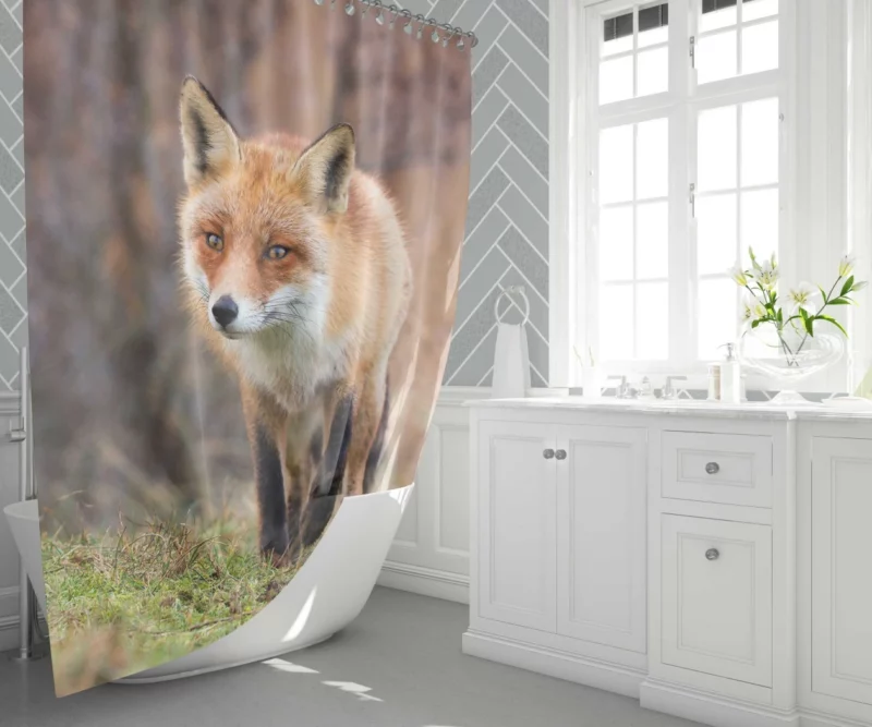 Fox Playful Charm Nature Whimsy Shower Curtain 1