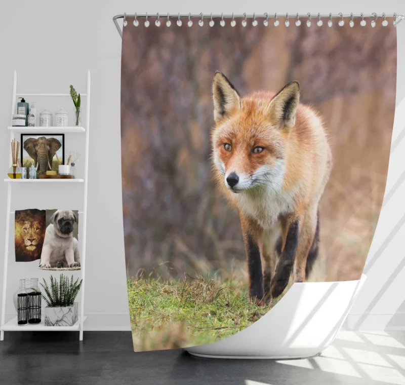 Fox Playful Charm Nature Whimsy Shower Curtain