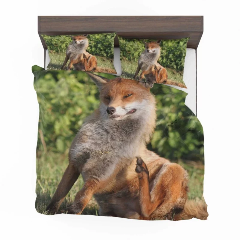 Fox Sly Charm Wilderness Intrigue Bedding Set 1