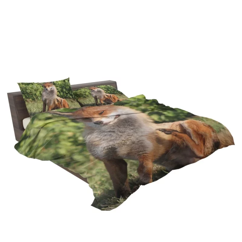 Fox Sly Charm Wilderness Intrigue Bedding Set 2