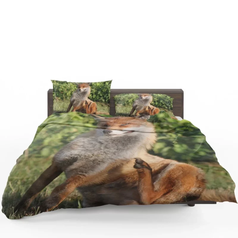 Fox Sly Charm Wilderness Intrigue Bedding Set