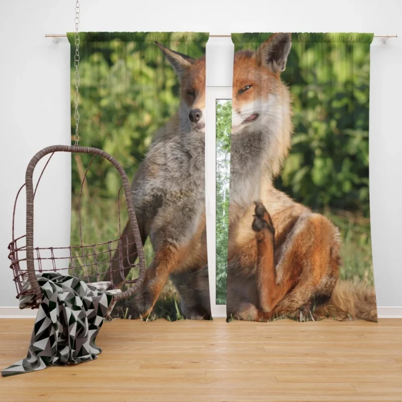 Fox Sly Charm Wilderness Intrigue Curtain