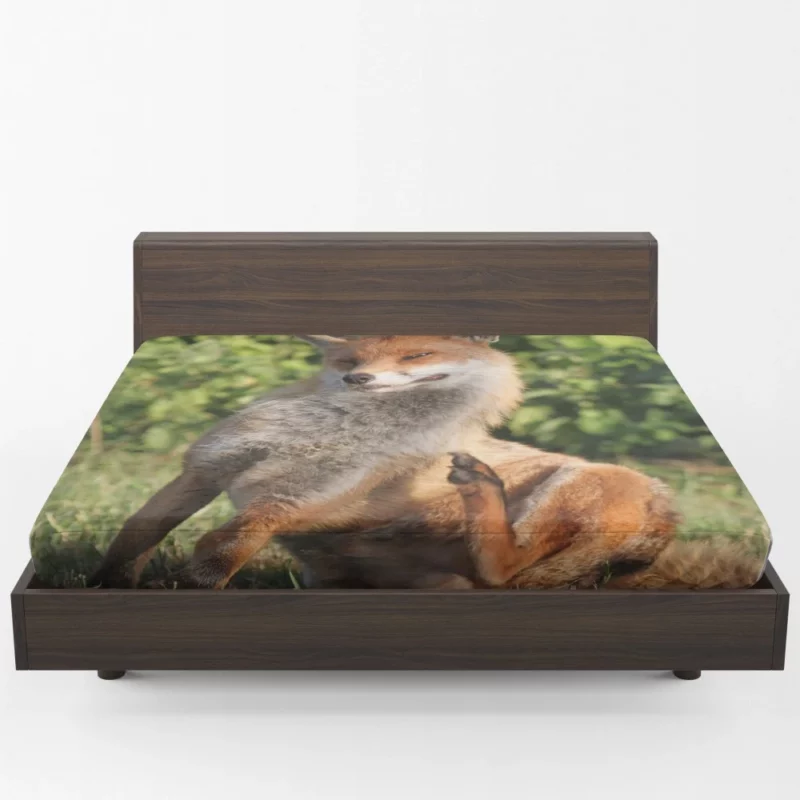 Fox Sly Charm Wilderness Intrigue Fitted Sheet