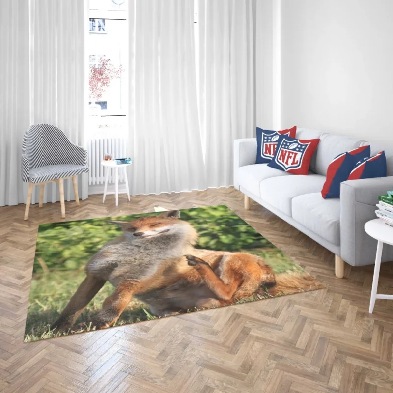 Fox Sly Charm Wilderness Intrigue Rug 2