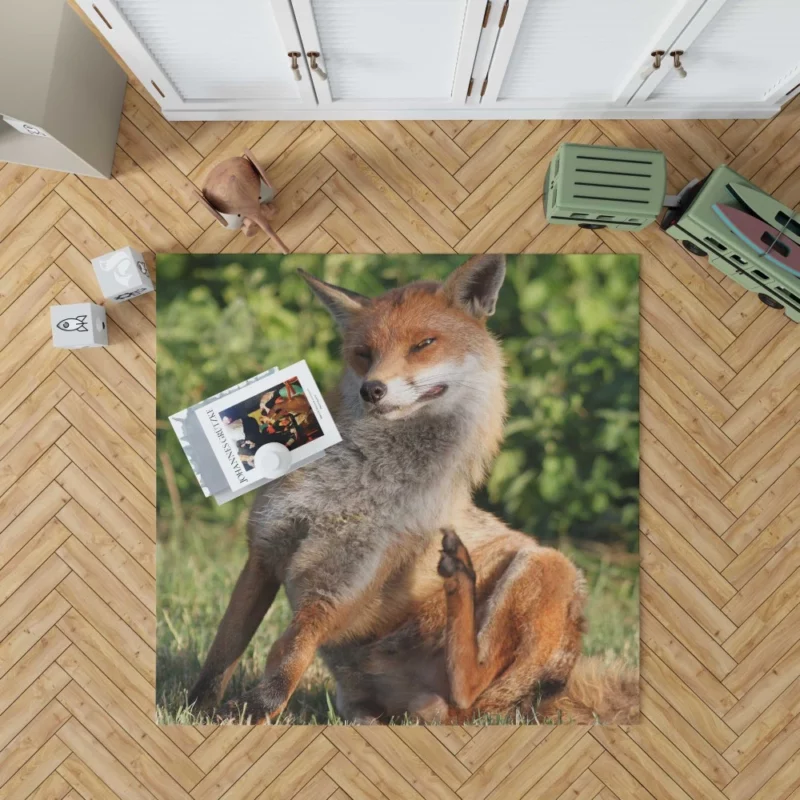 Fox Sly Charm Wilderness Intrigue Rug