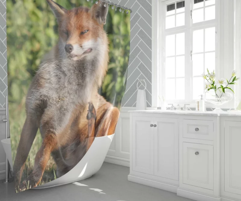 Fox Sly Charm Wilderness Intrigue Shower Curtain 1