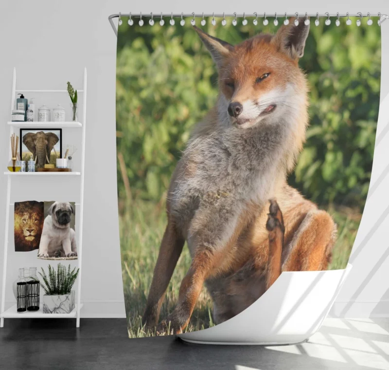 Fox Sly Charm Wilderness Intrigue Shower Curtain