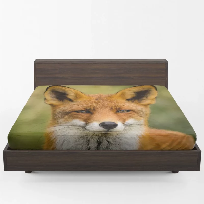 Fox Sly Stare Wilderness Intrigue Fitted Sheet