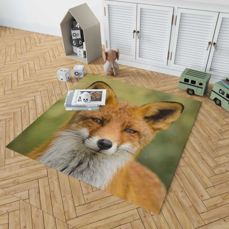 Fox Sly Stare Wilderness Intrigue Rug 1