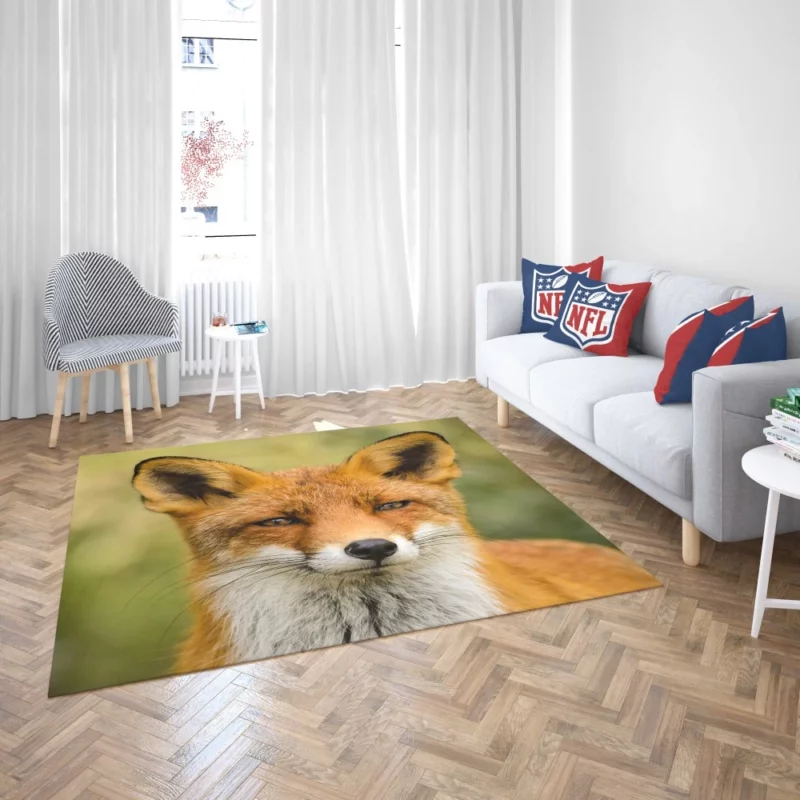 Fox Sly Stare Wilderness Intrigue Rug 2