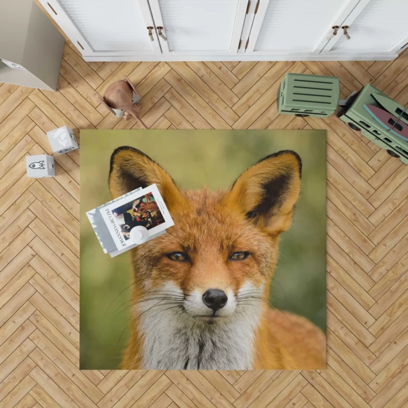 Fox Sly Stare Wilderness Intrigue Rug