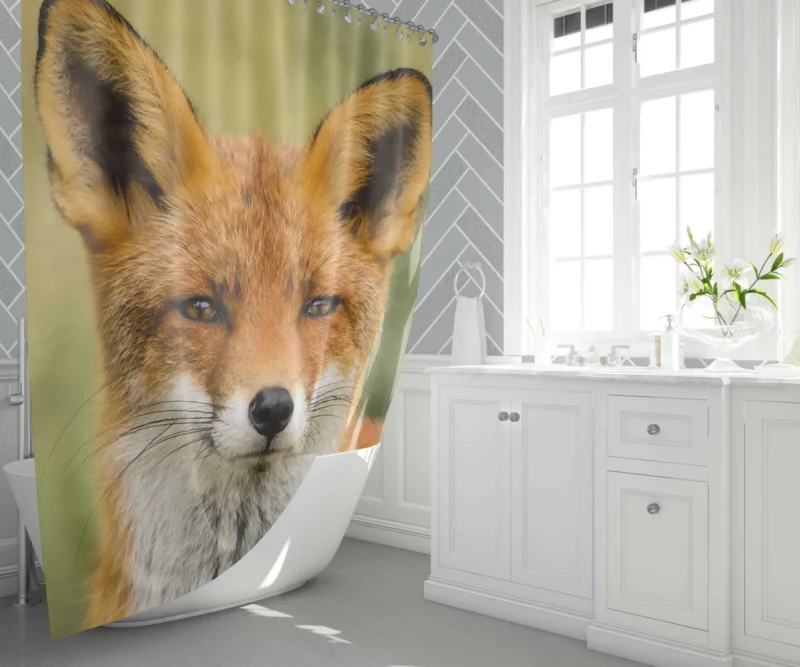 Fox Sly Stare Wilderness Intrigue Shower Curtain 1