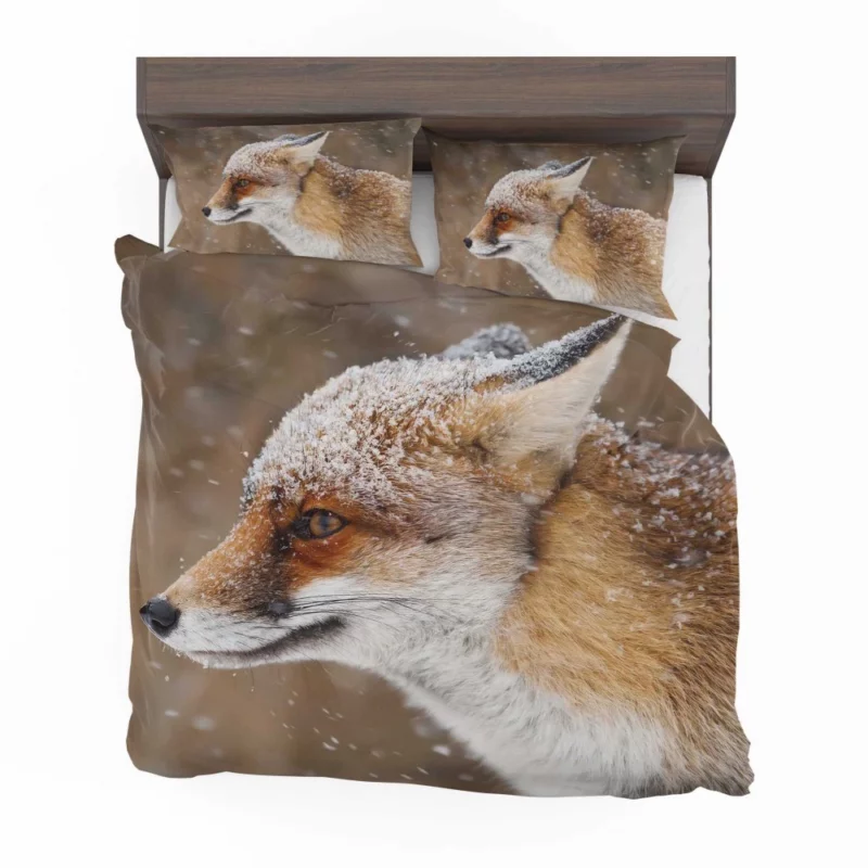 Fox Snowfall Adventure Wilderness Charm Bedding Set 1