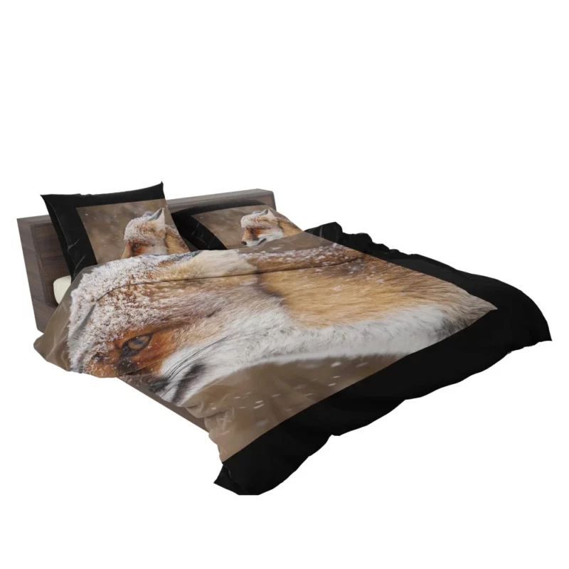 Fox Snowfall Adventure Wilderness Charm Bedding Set 2