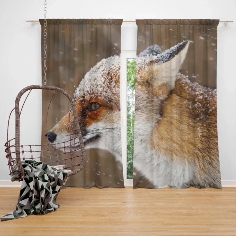 Fox Snowfall Adventure Wilderness Charm Curtain