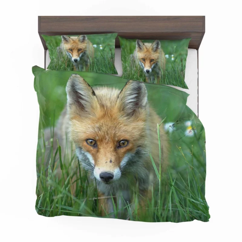 Fox Stare Amidst Green Grass Bedding Set 1