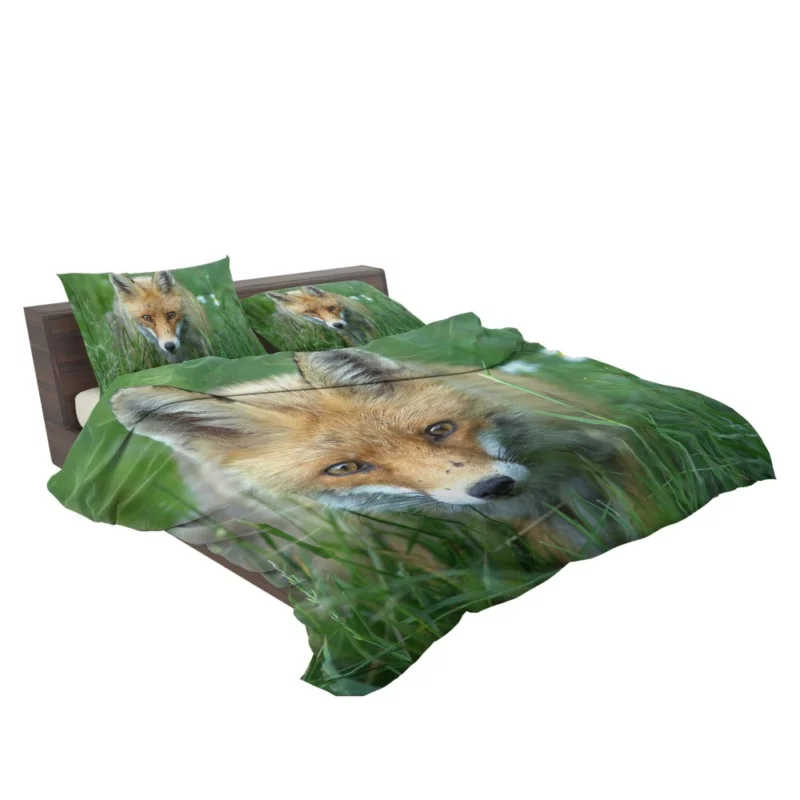 Fox Stare Amidst Green Grass Bedding Set 2