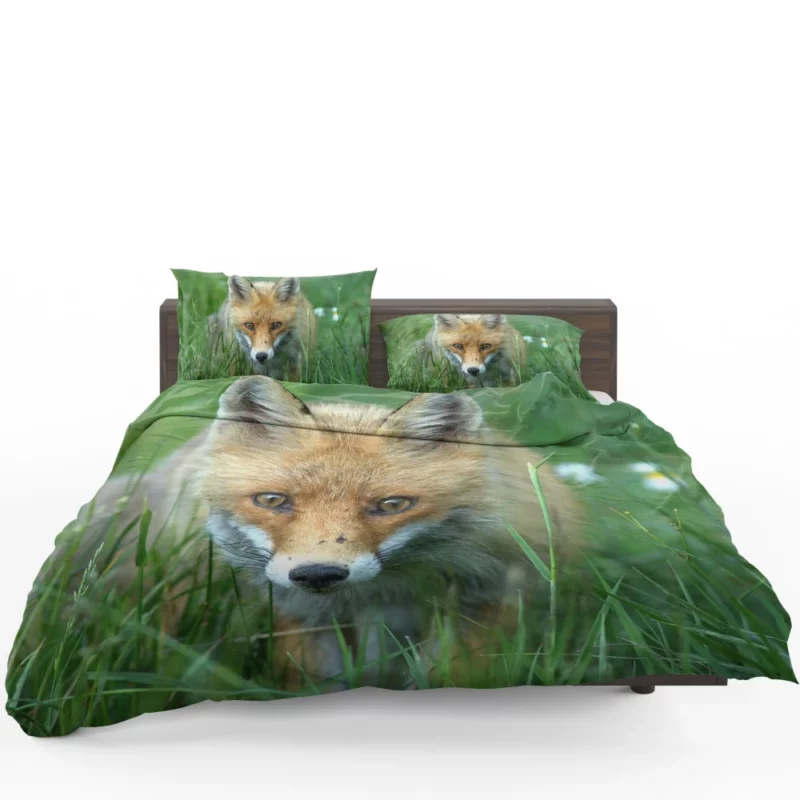 Fox Stare Amidst Green Grass Bedding Set