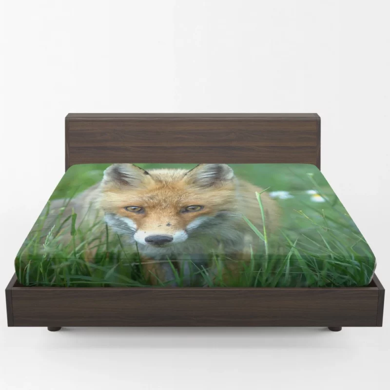 Fox Stare Amidst Green Grass Fitted Sheet