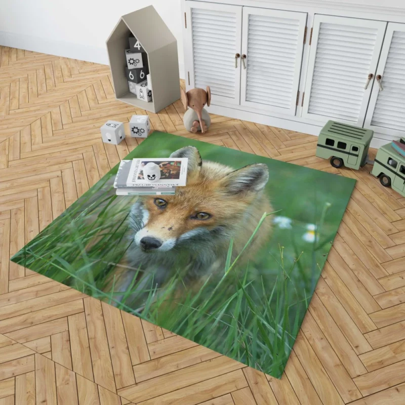 Fox Stare Amidst Green Grass Rug 1