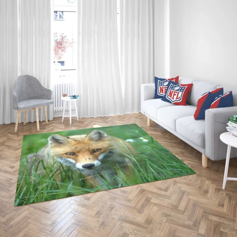 Fox Stare Amidst Green Grass Rug 2