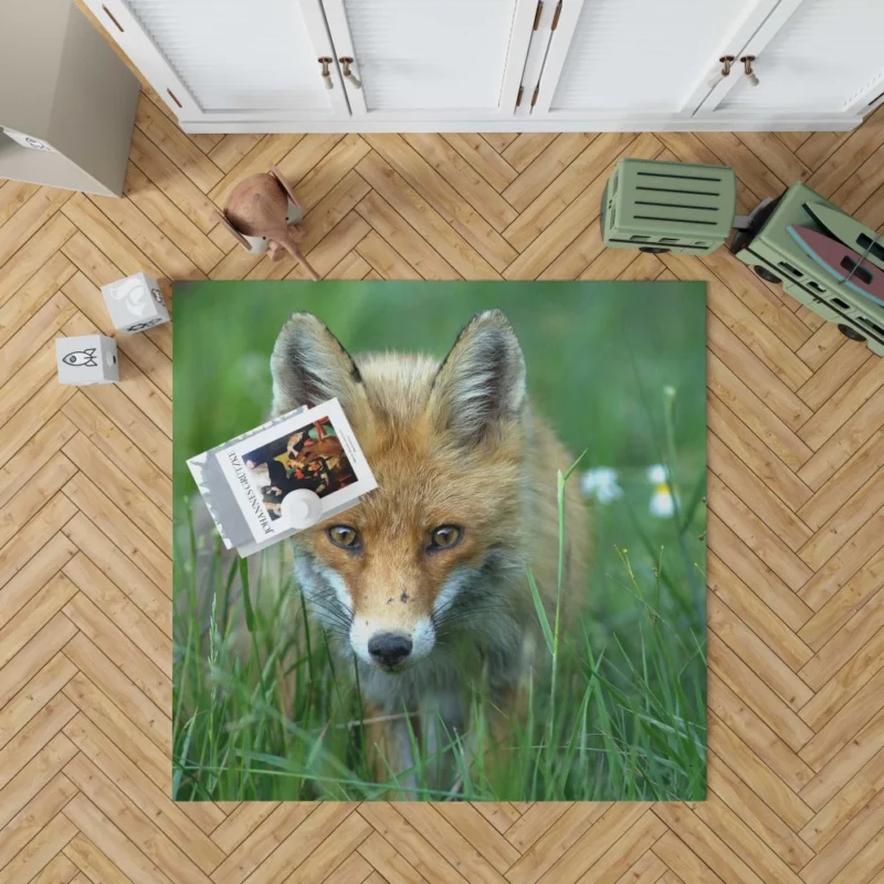 Fox Stare Amidst Green Grass Rug