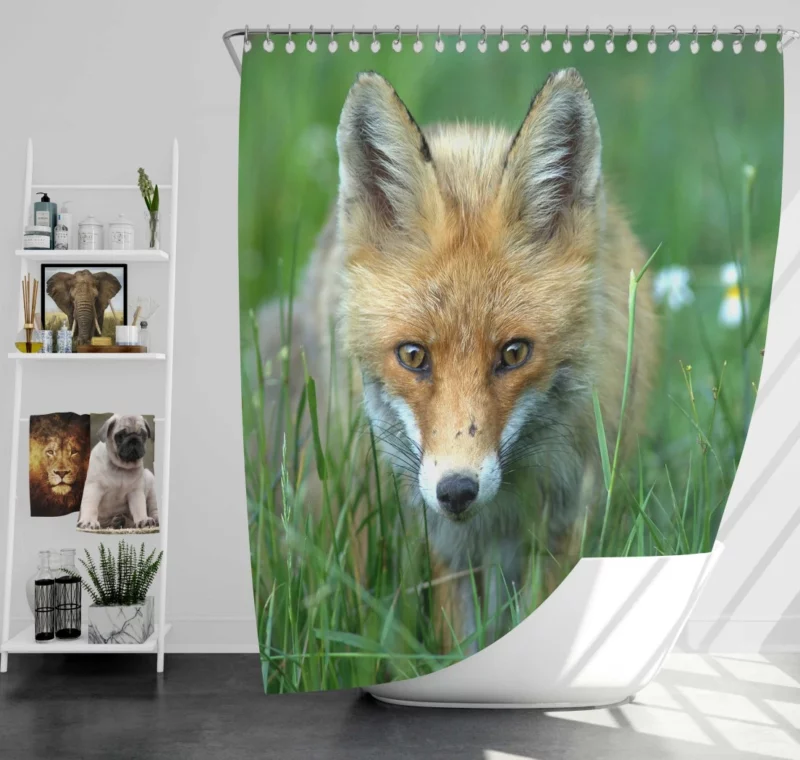 Fox Stare Amidst Green Grass Shower Curtain