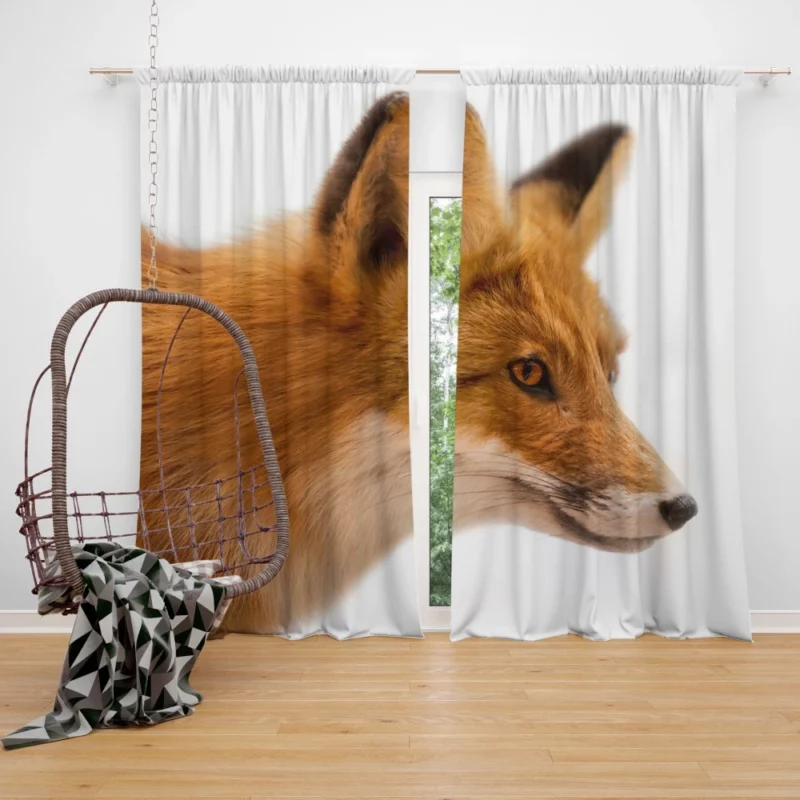 Fox Winter Grace Curtain