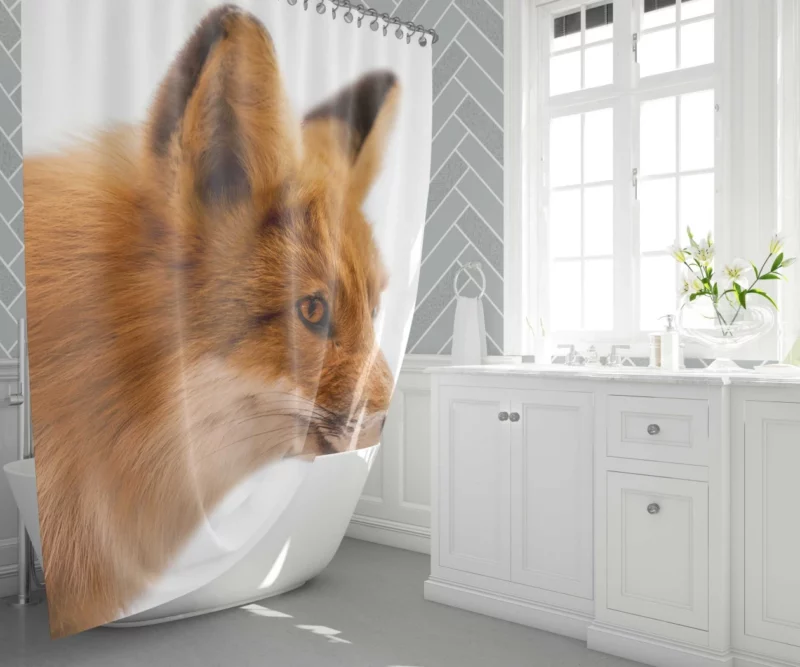 Fox Winter Grace Shower Curtain 1