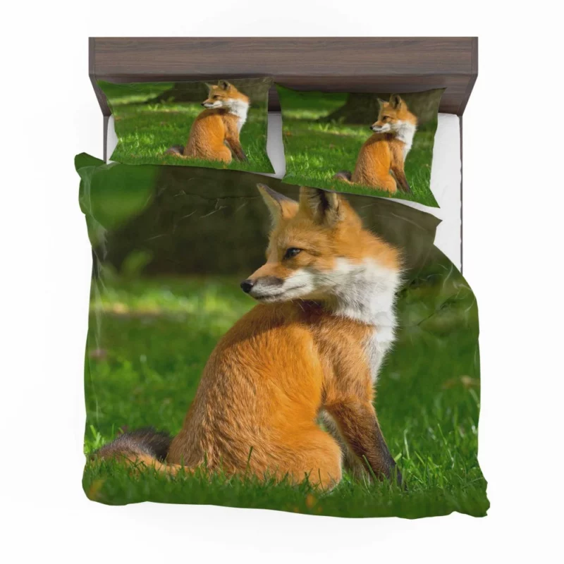 Fox in Grass Natural Curiosity Bedding Set 1