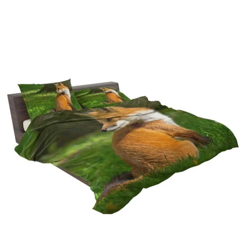 Fox in Grass Natural Curiosity Bedding Set 2