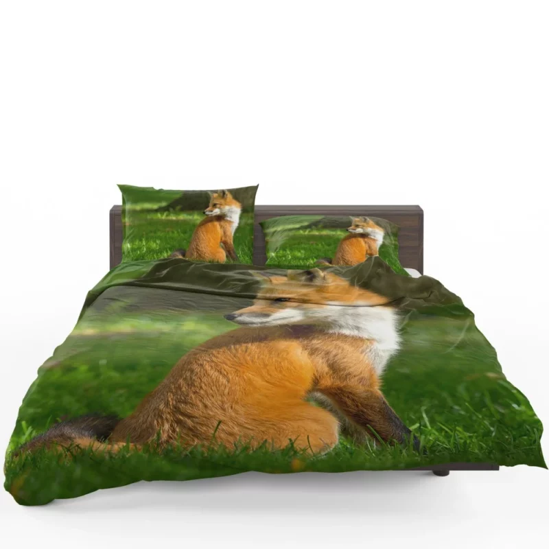 Fox in Grass Natural Curiosity Bedding Set