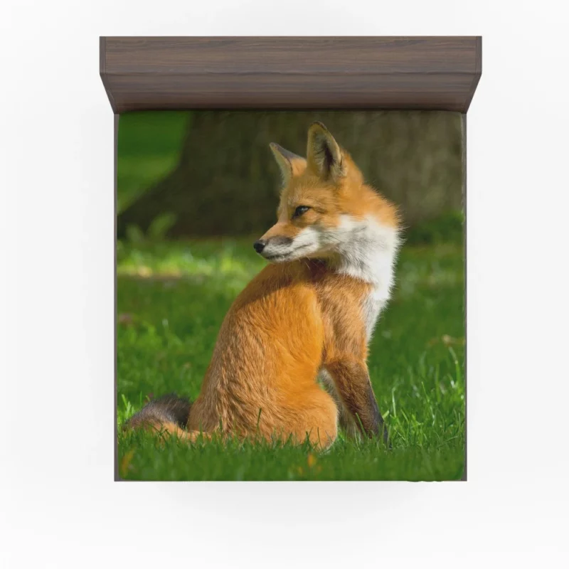 Fox in Grass Natural Curiosity Fitted Sheet 1