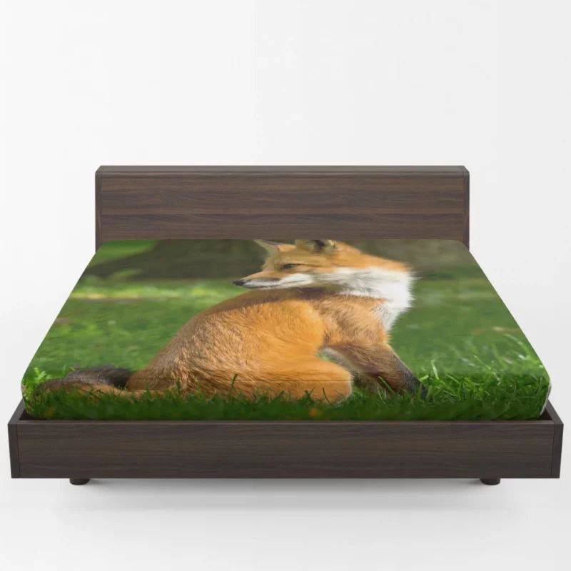 Fox in Grass Natural Curiosity Fitted Sheet