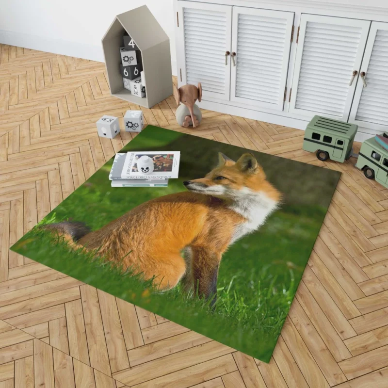 Fox in Grass Natural Curiosity Rug 1