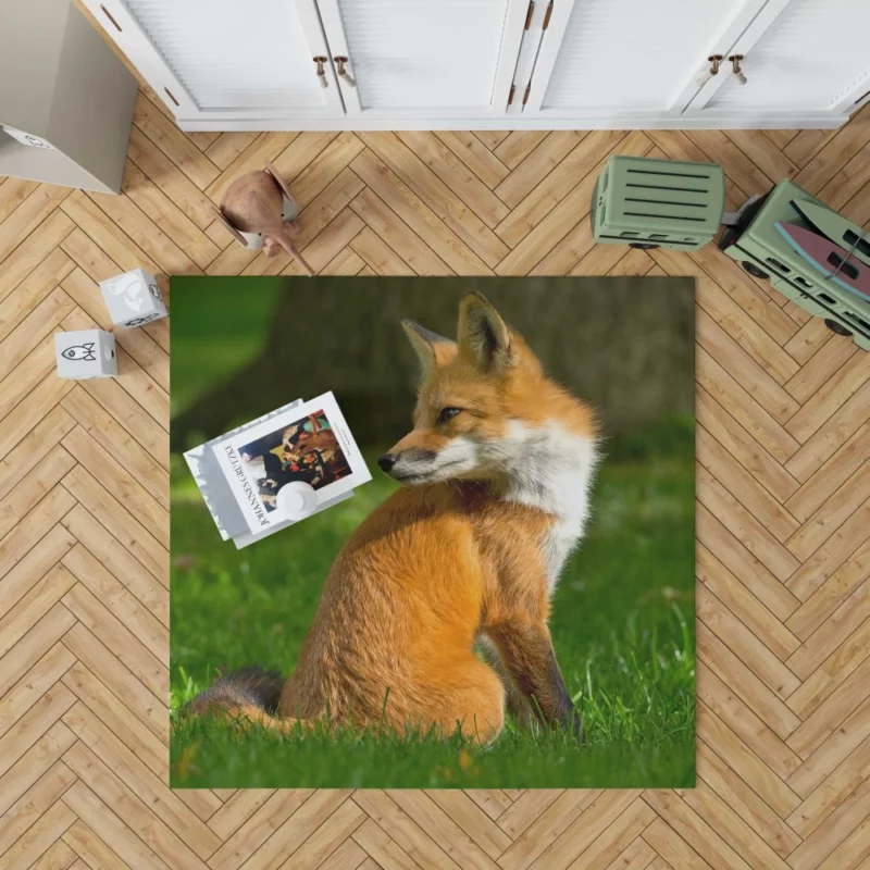 Fox in Grass Natural Curiosity Rug