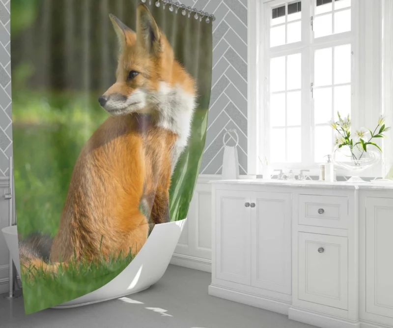 Fox in Grass Natural Curiosity Shower Curtain 1