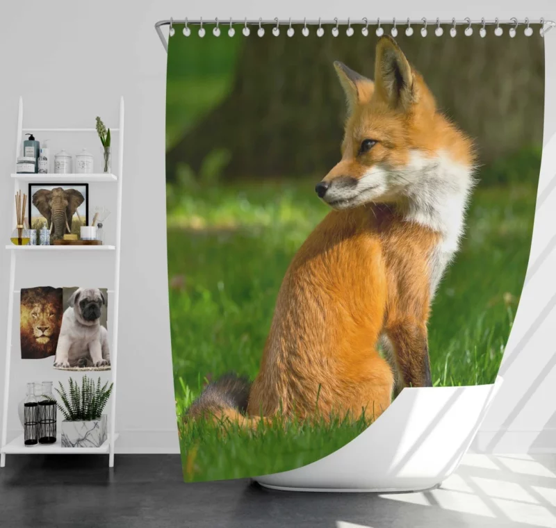 Fox in Grass Natural Curiosity Shower Curtain