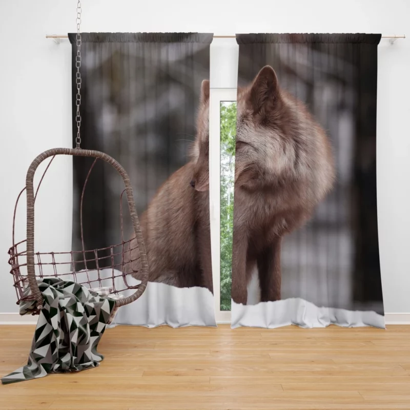 Fox in Snow Wilderness Whimsy Curtain