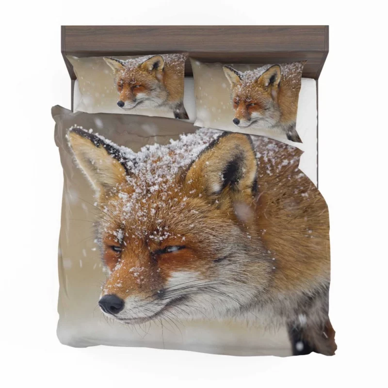 Fox in Snowfall Bedding Set 1