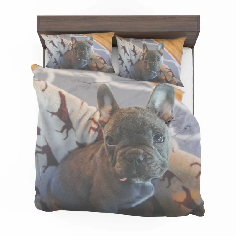 French Bulldog Adorable Antics Furry Delight Bedding Set 1